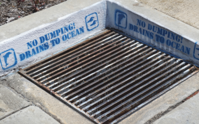 What Can I Put in the Storm Drain?