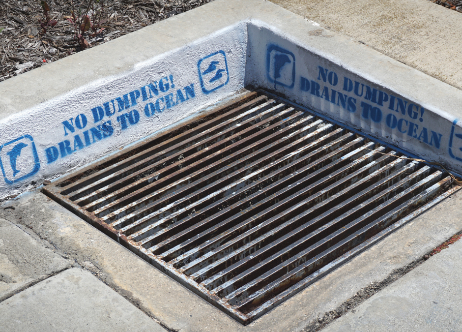What Can I Put in the Storm Drain?