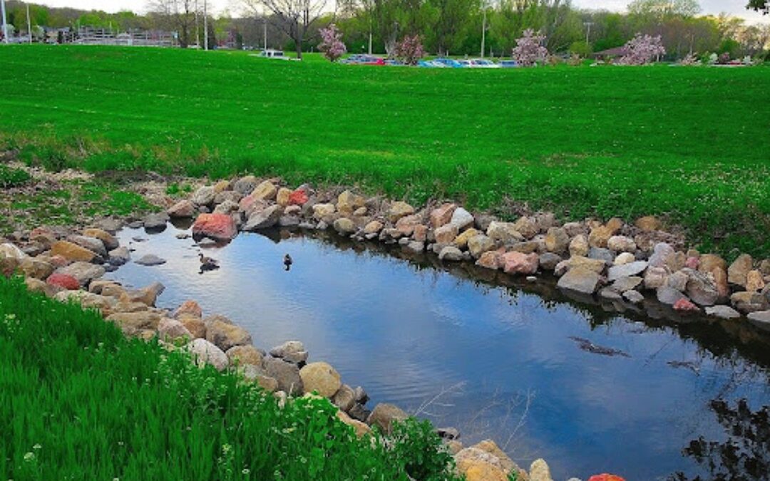 Why Isn’t My Pond Draining? Common Causes of Standing Water After Storms